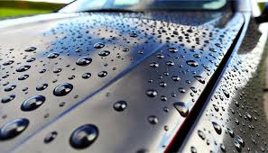The Science Behind Hydrophobic Coatings: Why Water Beads Off Your Car